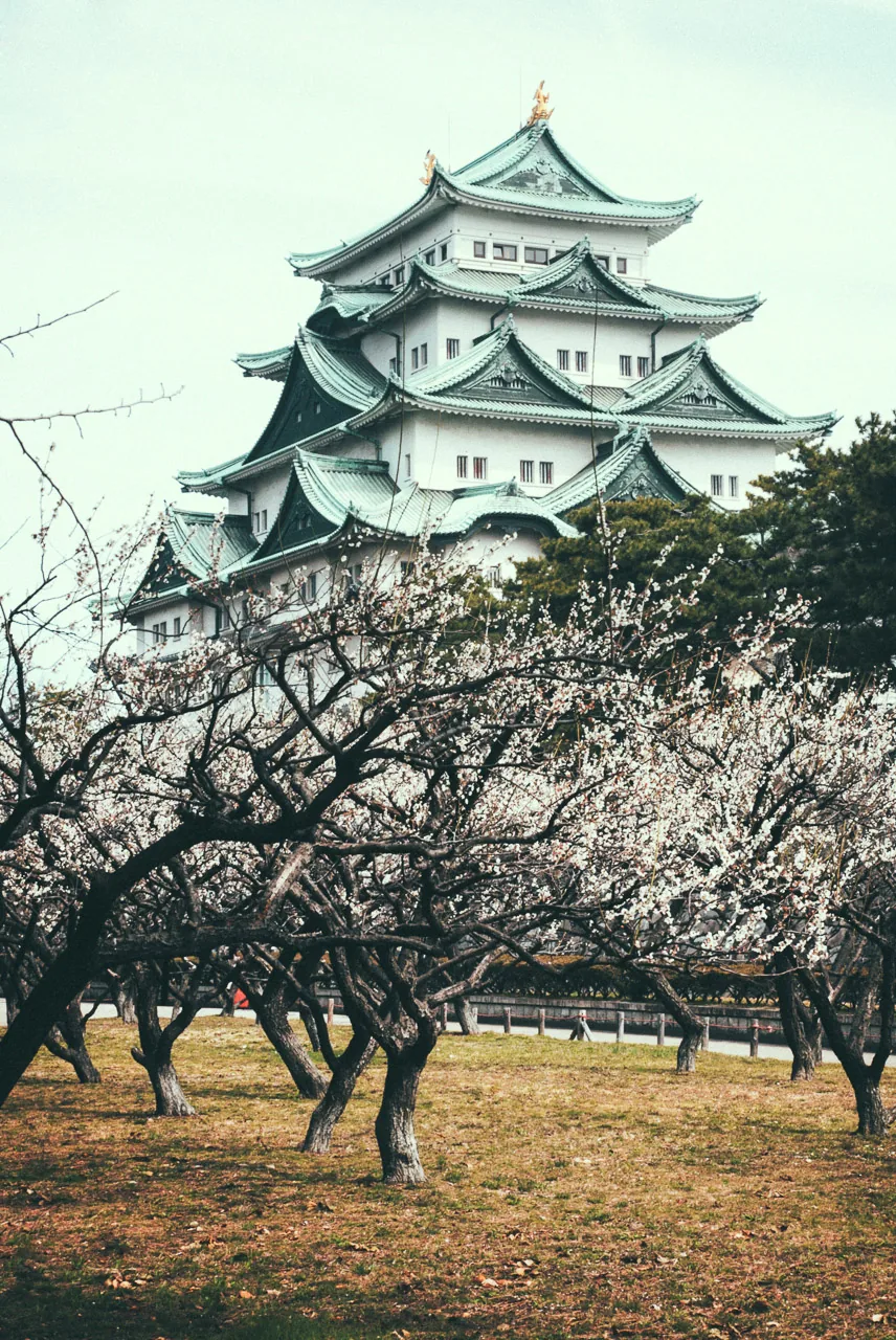 The castle above the plum grove