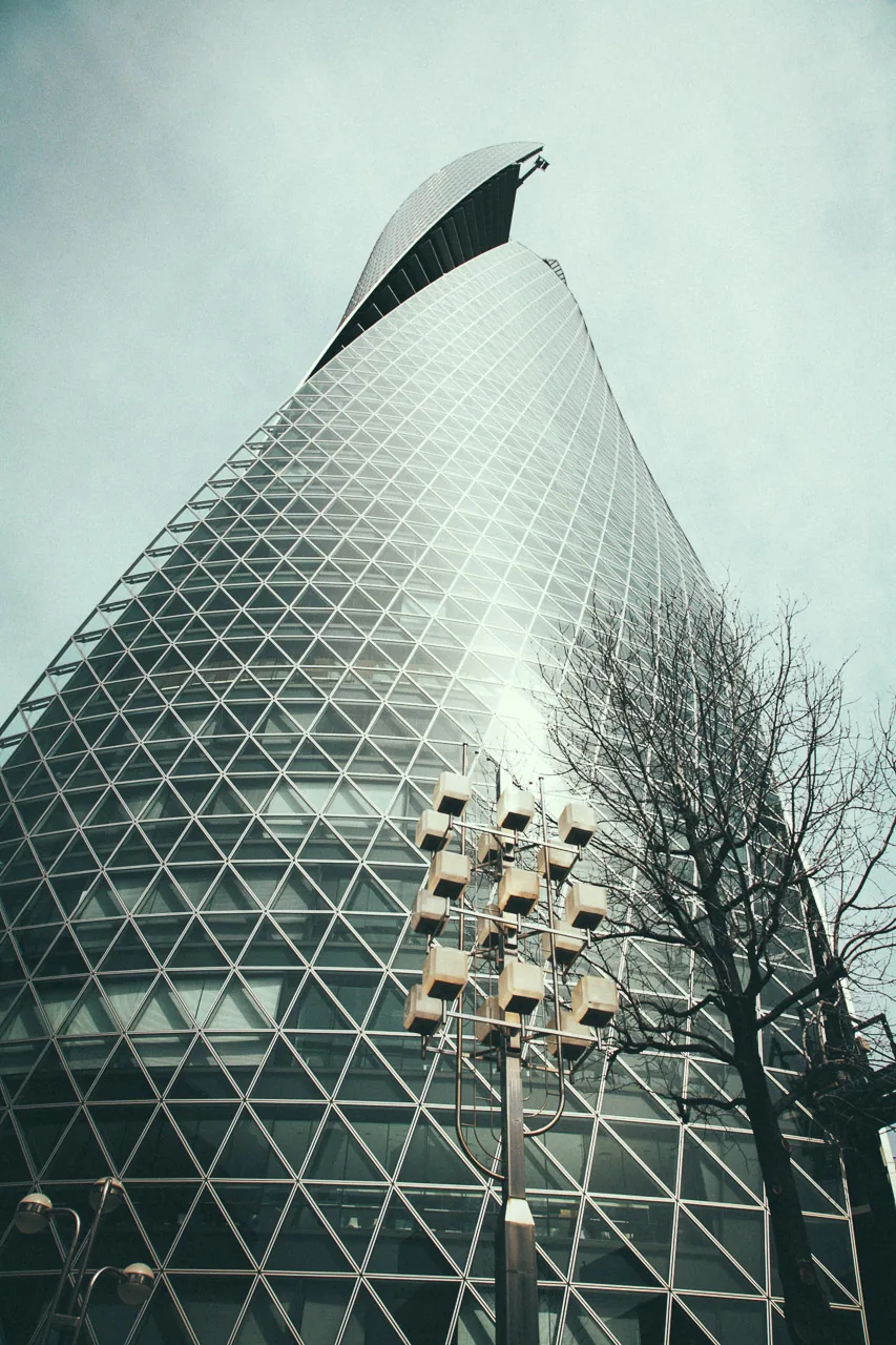 The Spiral Towers rising behind bare trees
