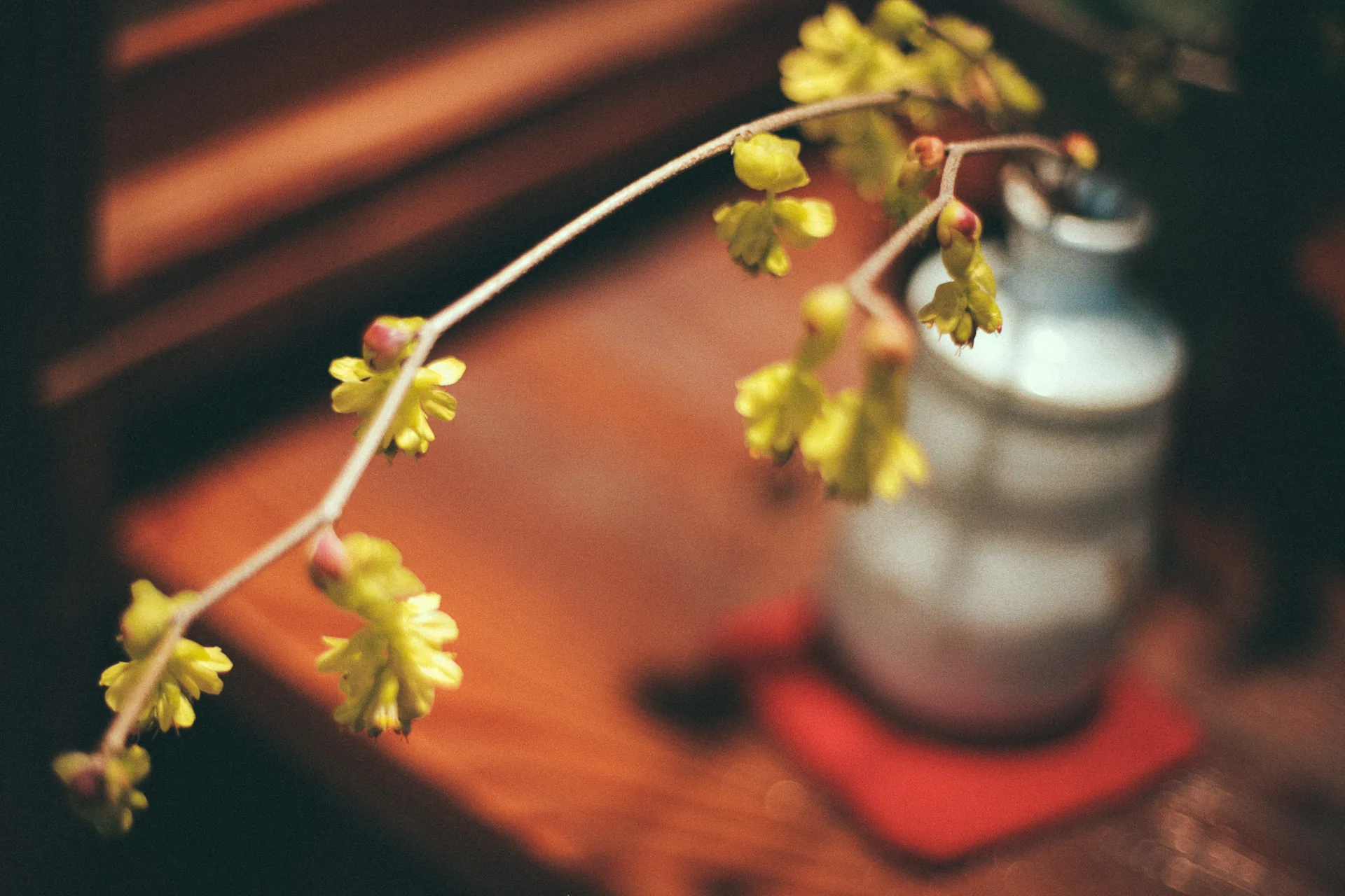 Yellow flowers and a sake flask on the counter