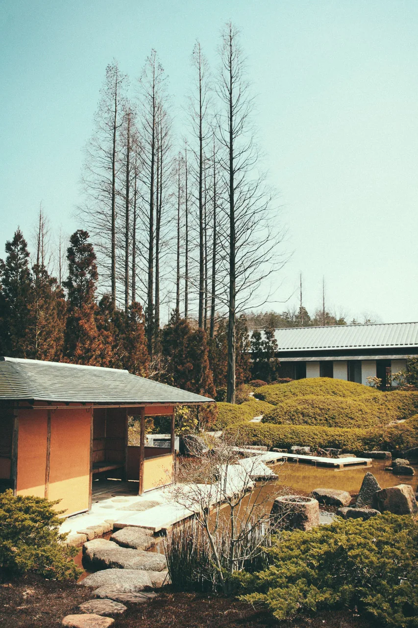 A small pavilion beneath tall trees
