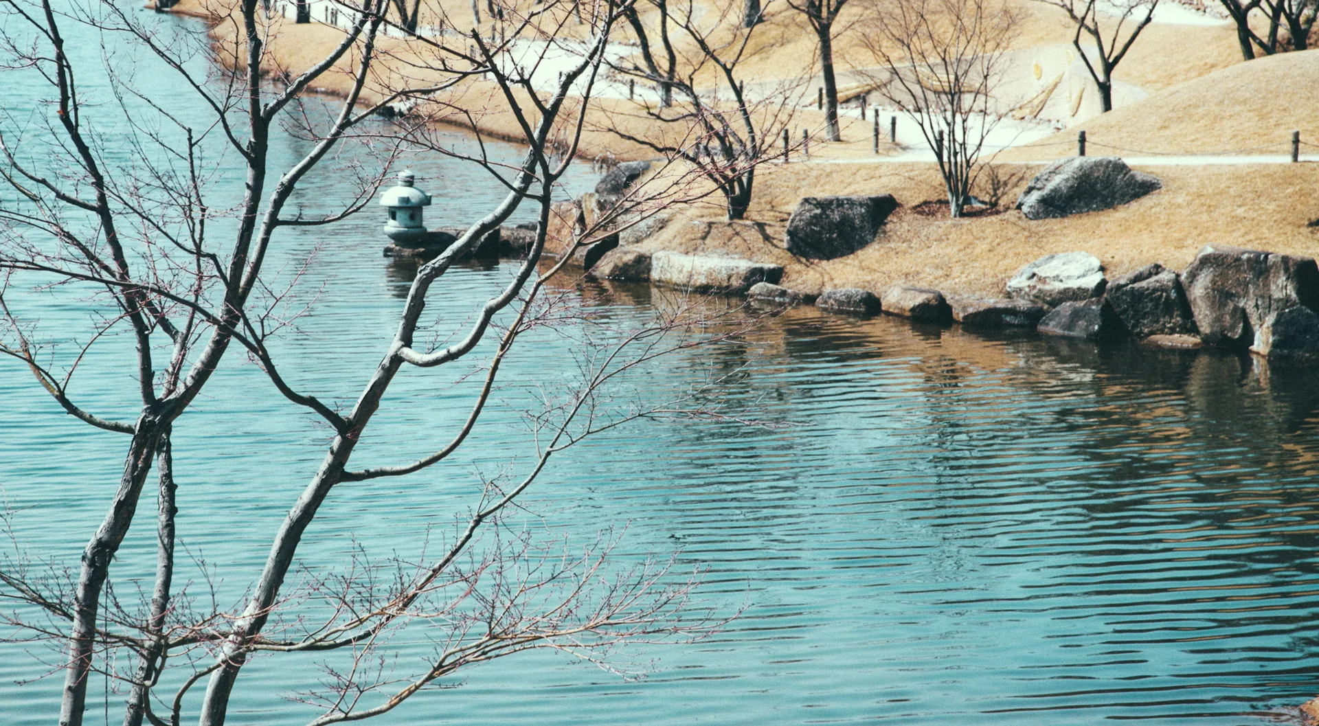Bare branches over the pond