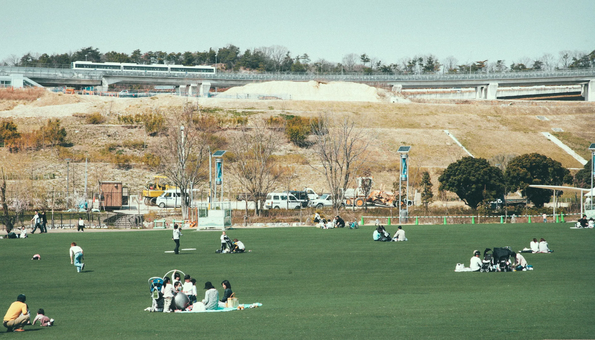 Families picnicking on the park lawn