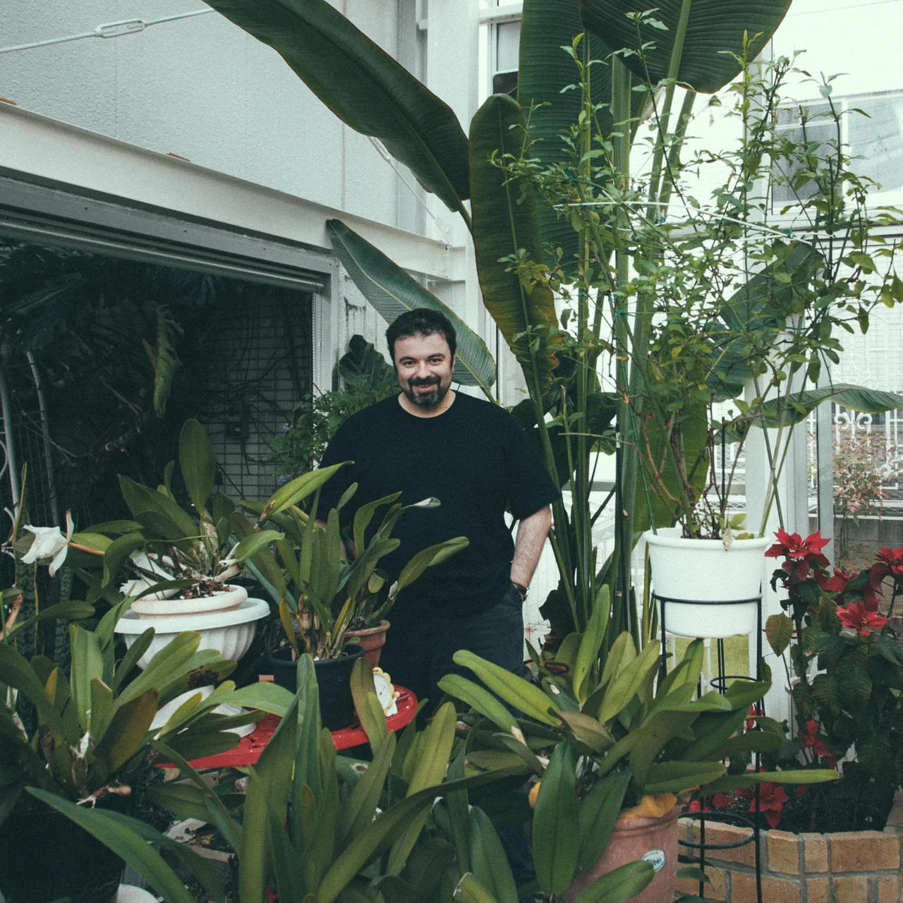 Standing among the plants in the greenhouse