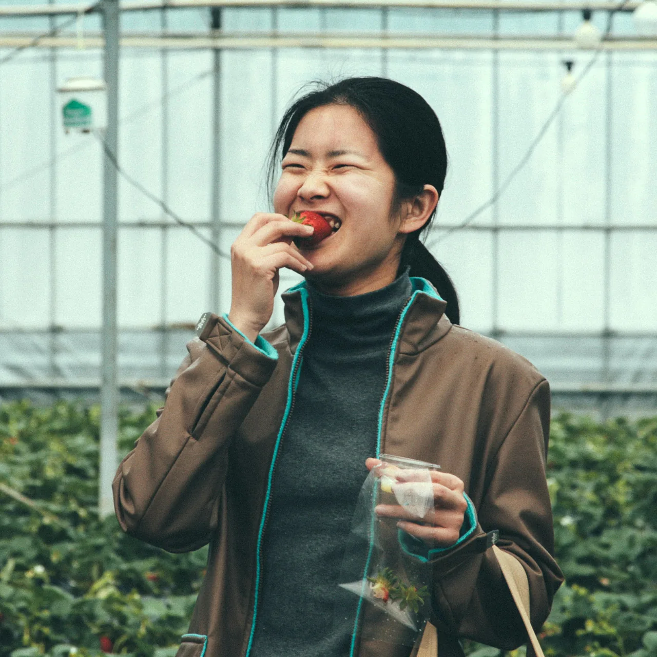 Biting into a strawberry