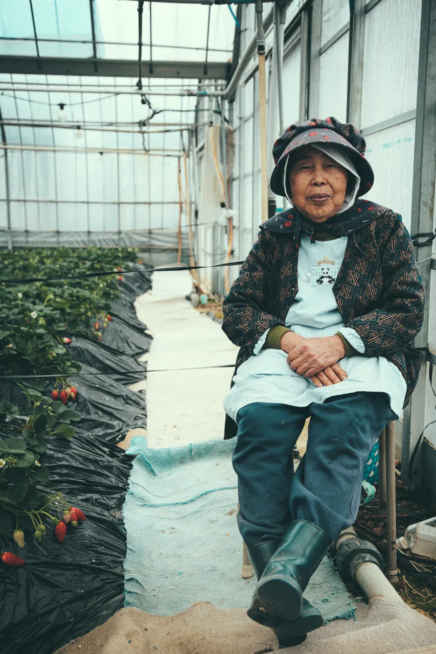 The farmer sitting in the greenhouse