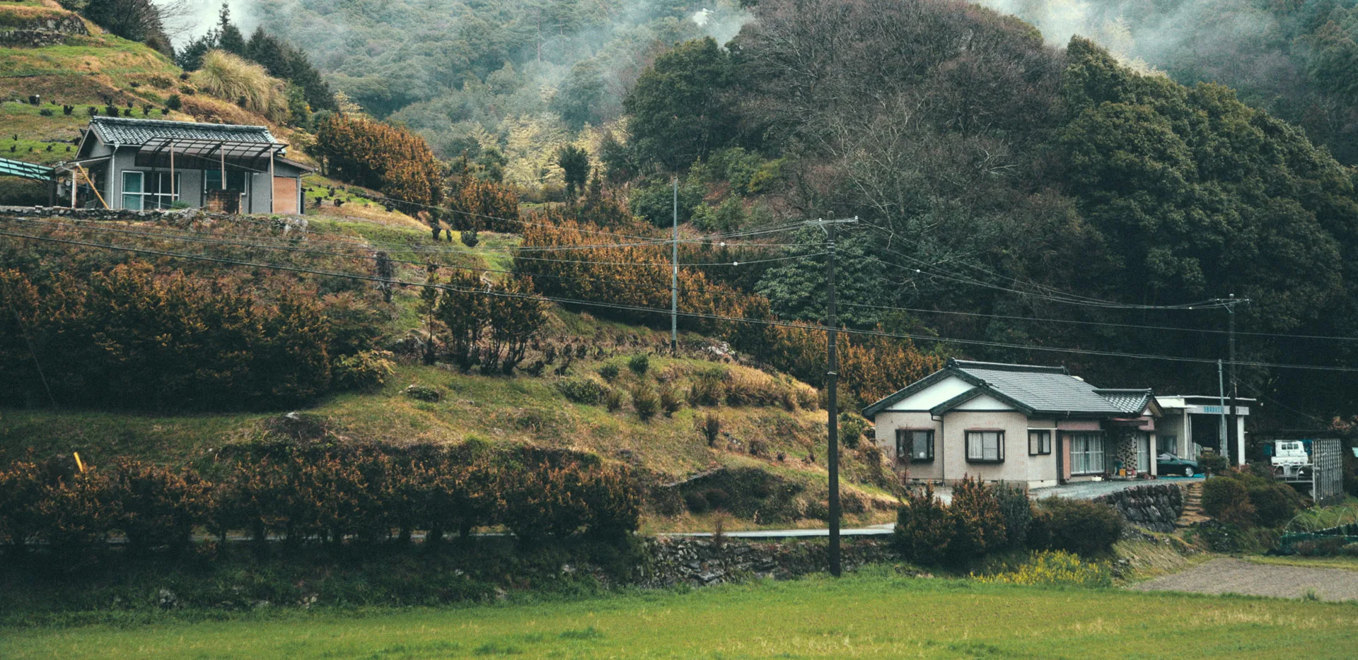 Houses on a misty green hillside