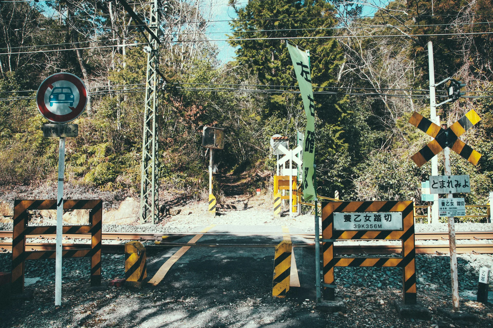 A rural railway crossing among the trees