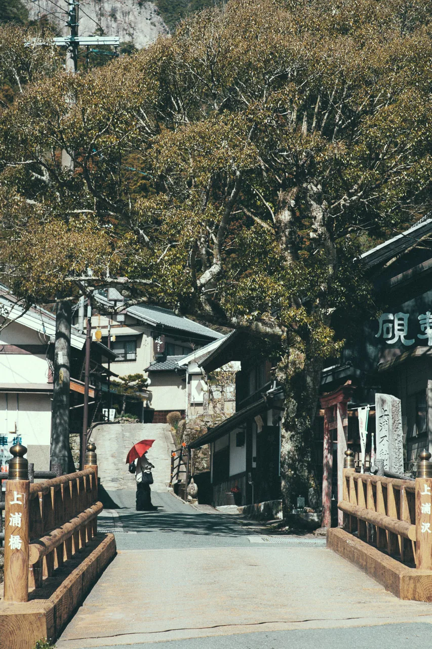 A small bridge into the village