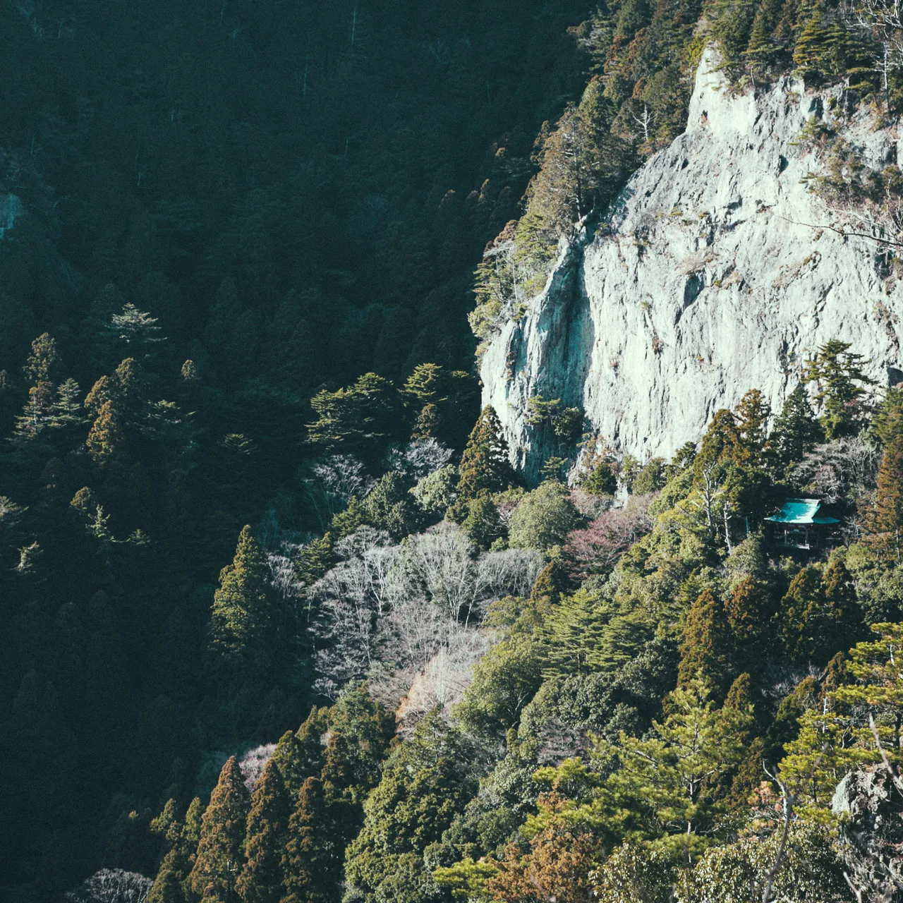 A white cliff among the trees
