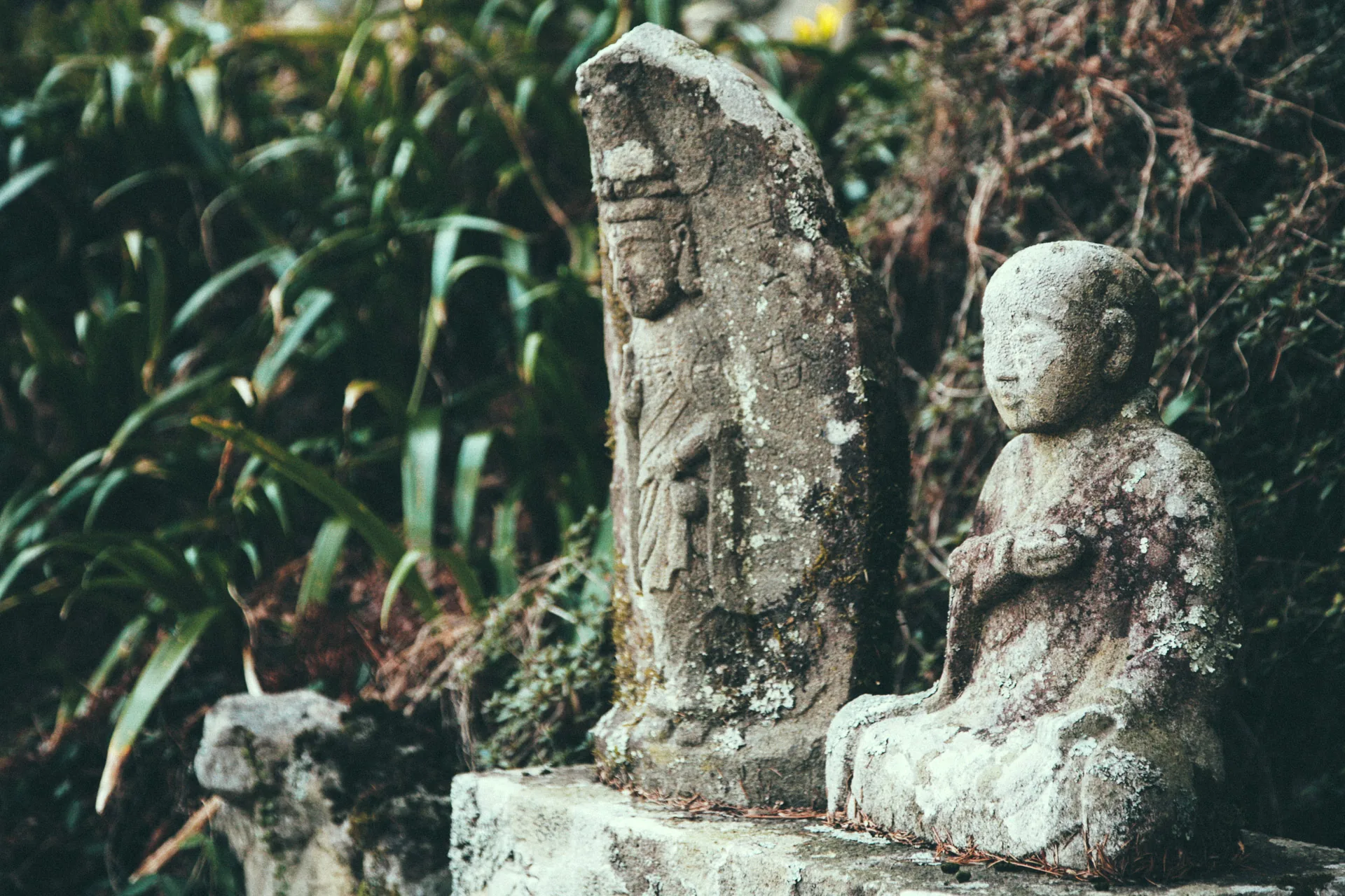 Weathered stone statues among the leaves