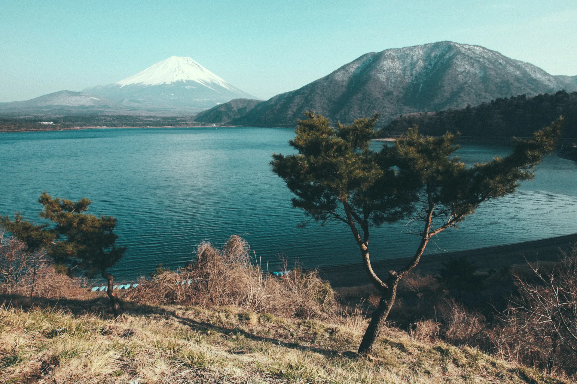 Mount Fuji and a pine above Lake Motosu