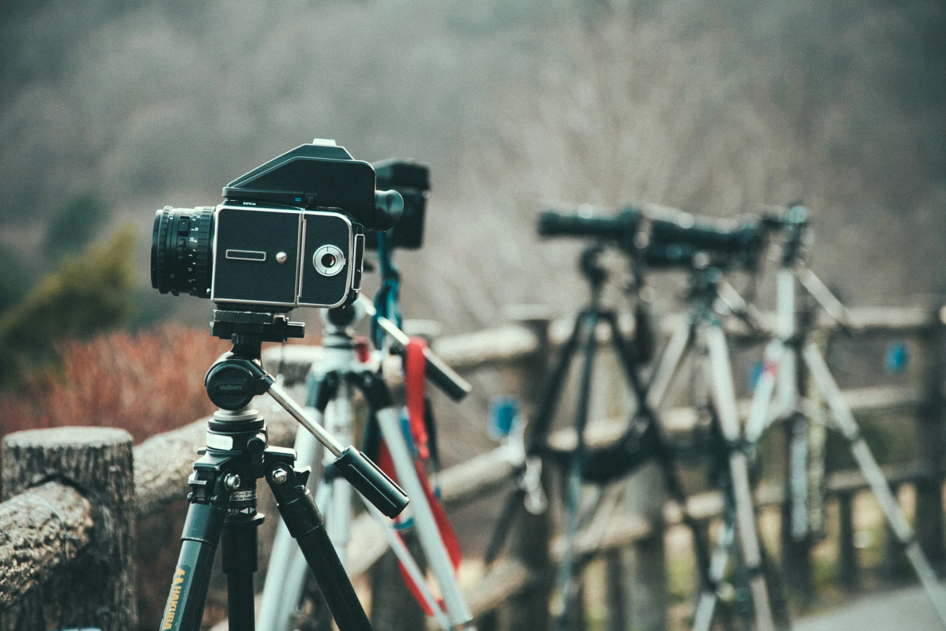 A row of tripods along the fence