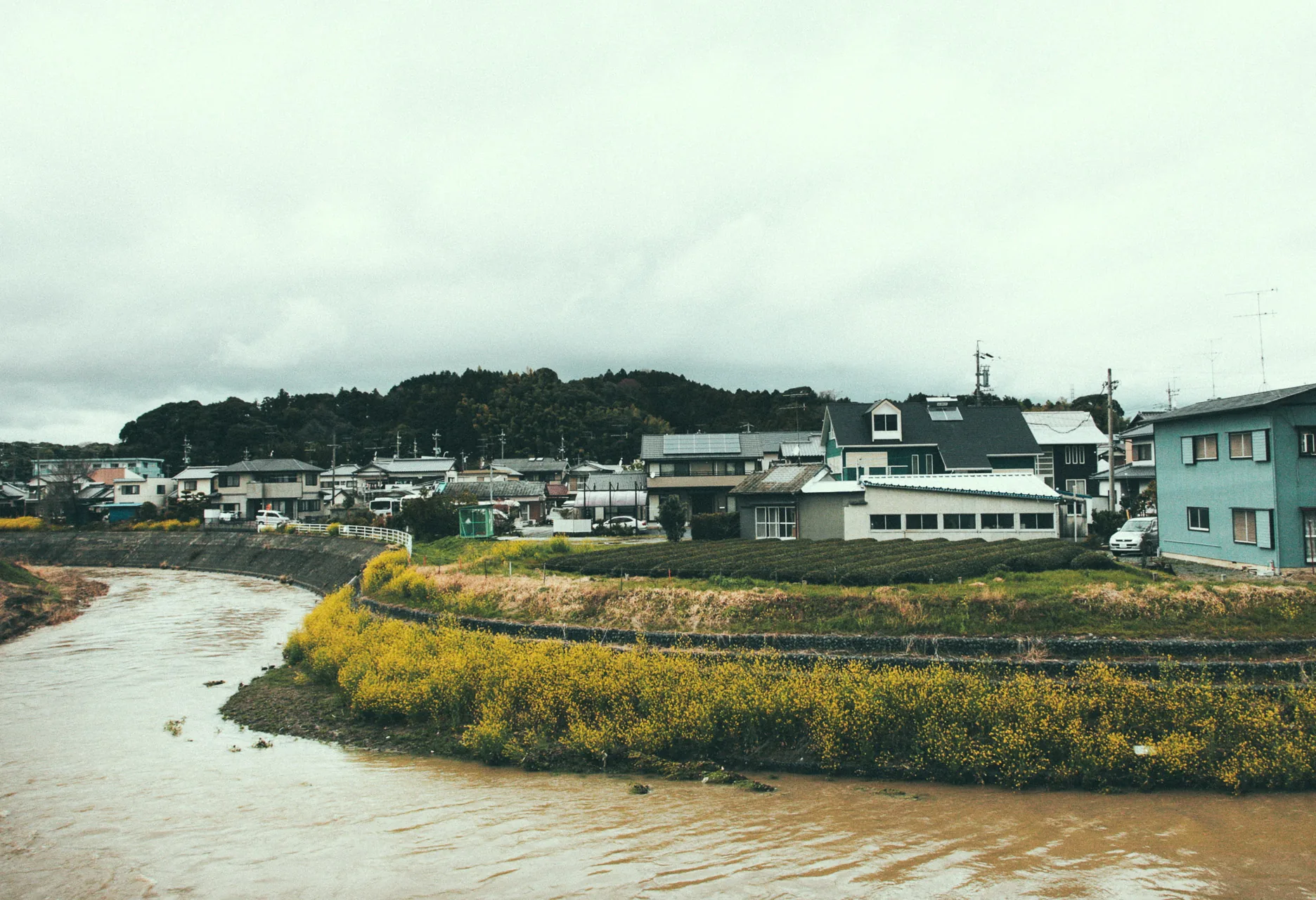 A river and houses on the edge of Kikugawa