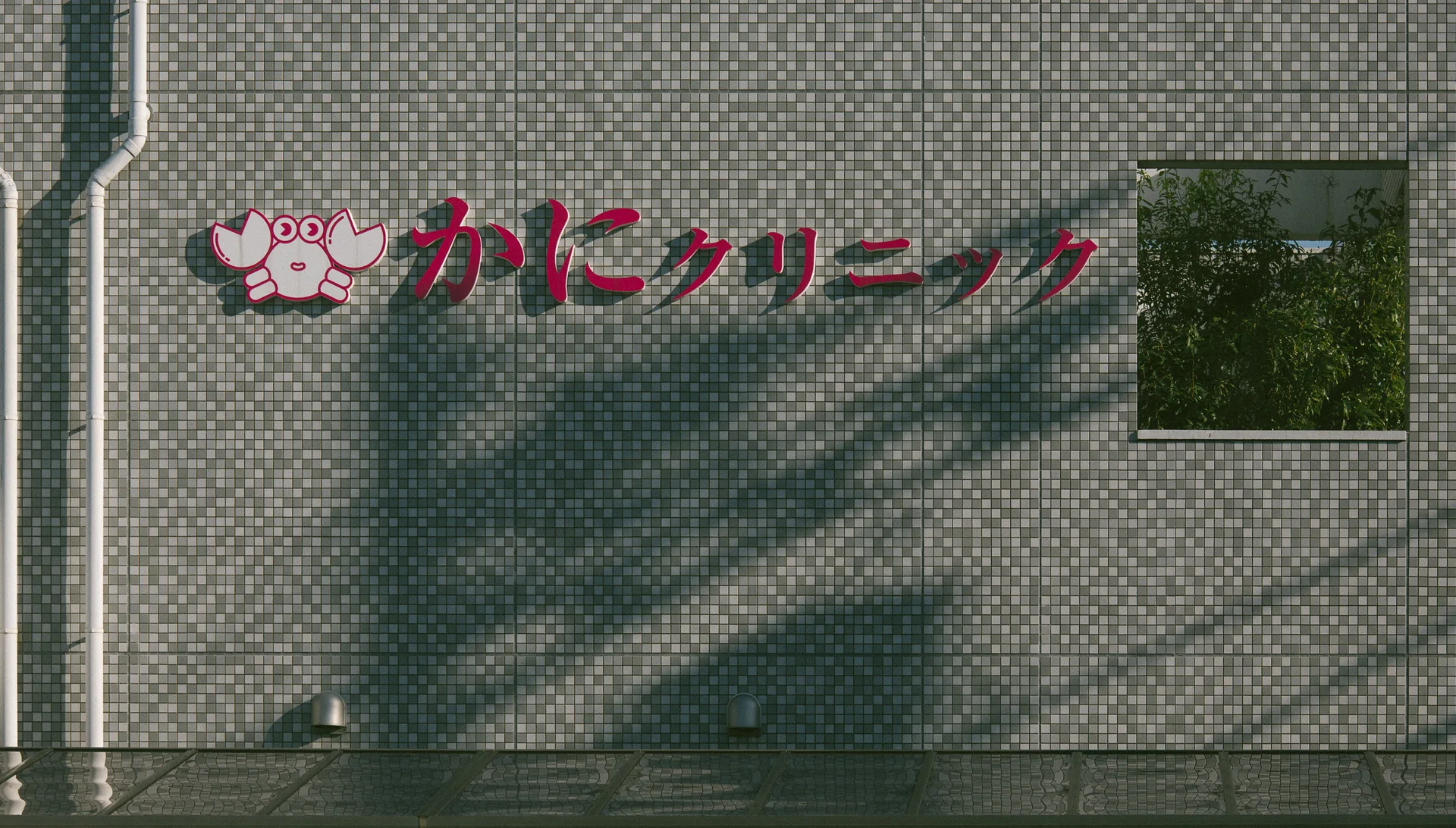 A crab clinic sign with tree shadows on a tiled wall