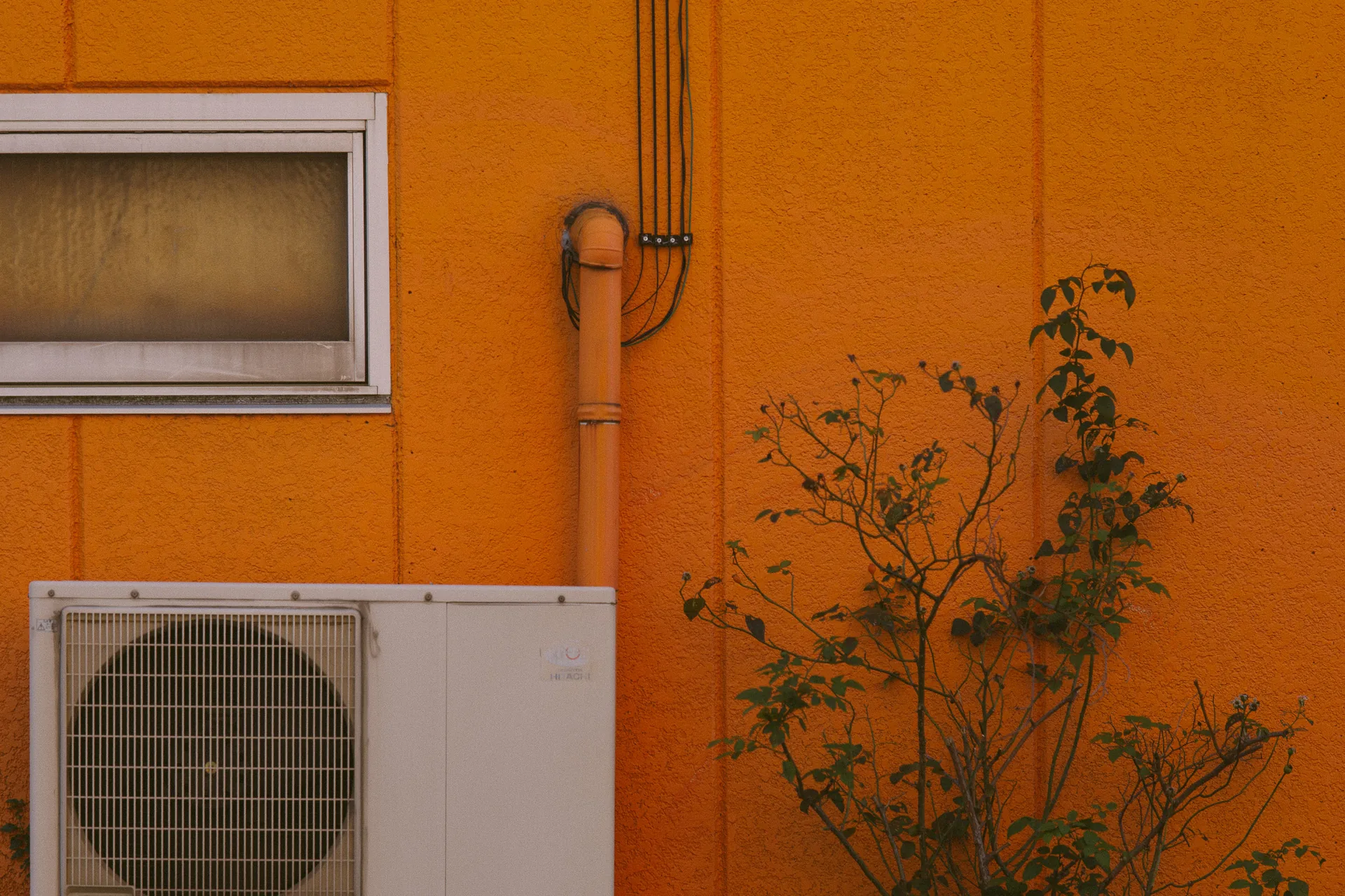 An air conditioner and a small tree against an orange wall