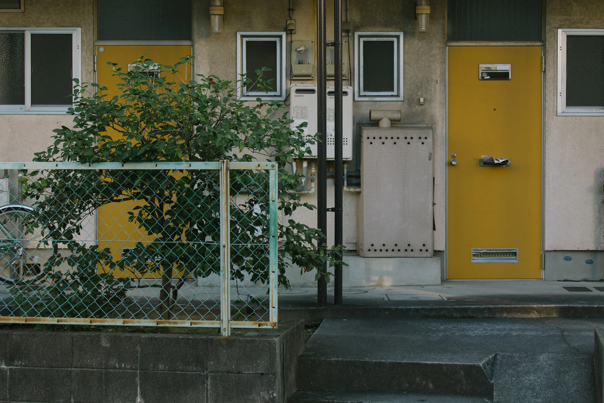Orange and yellow doors behind a small tree and fence
