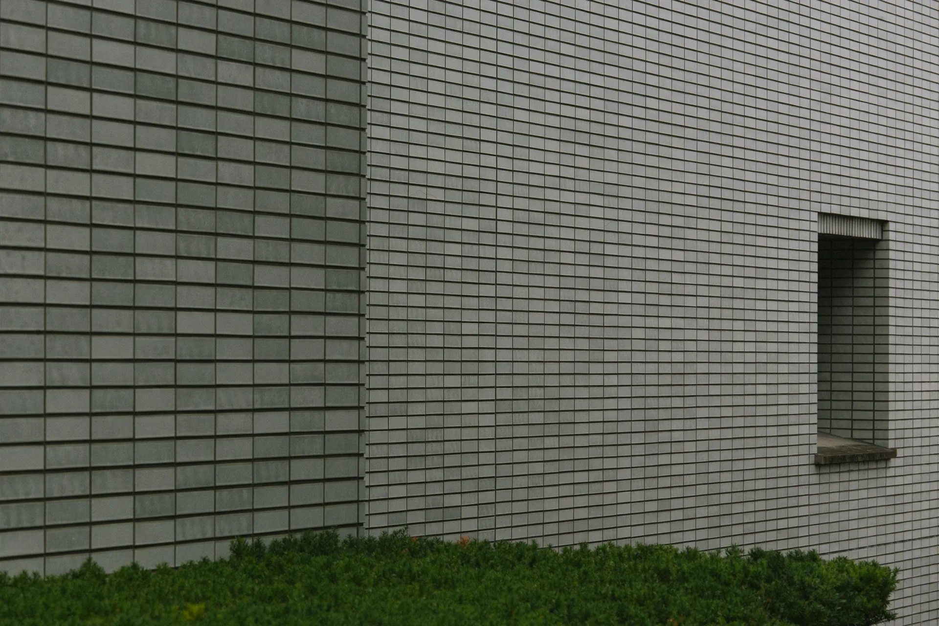 Corner of a tiled wall with a small window above a hedge