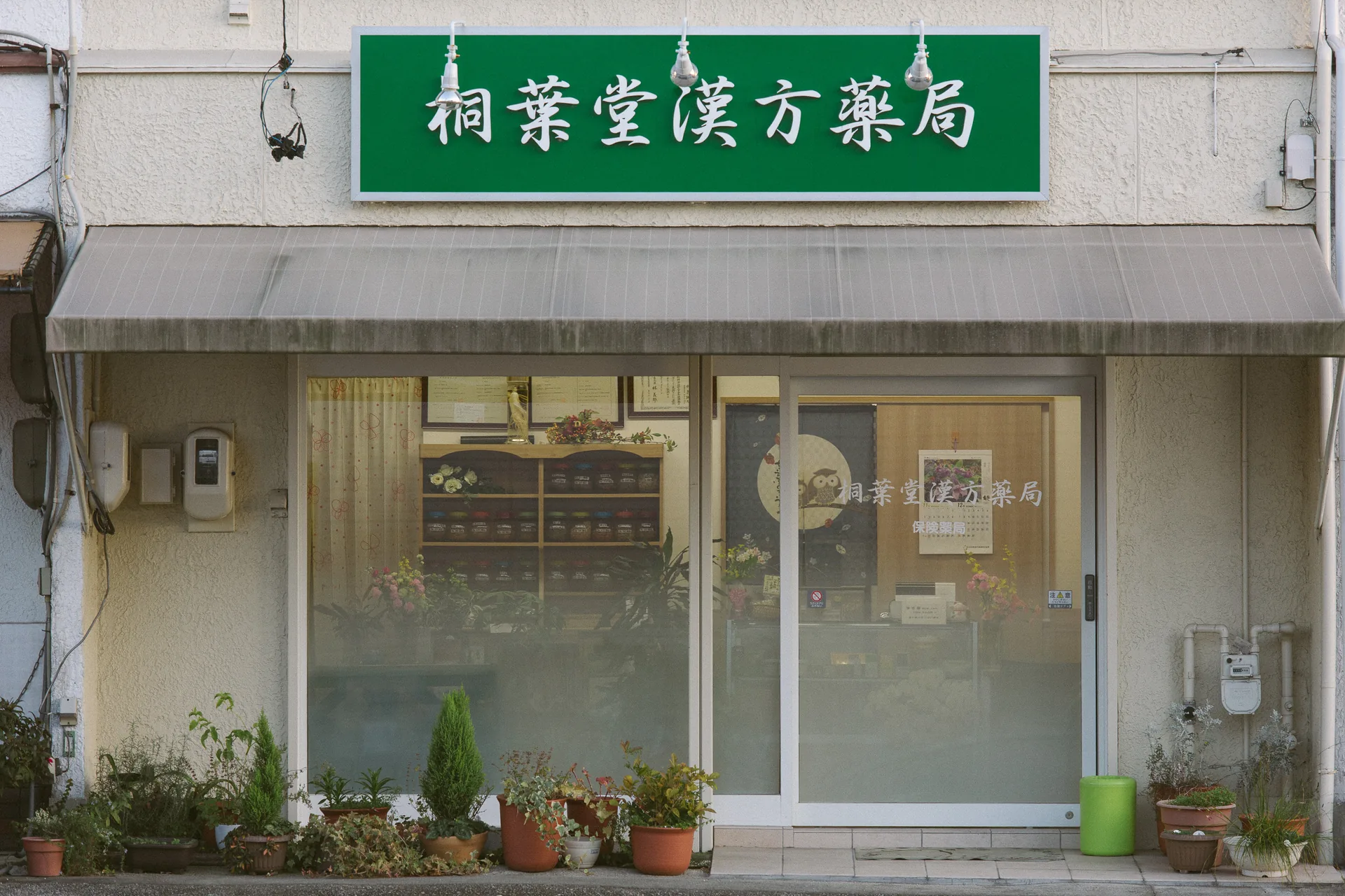 An old pharmacy with potted plants out front