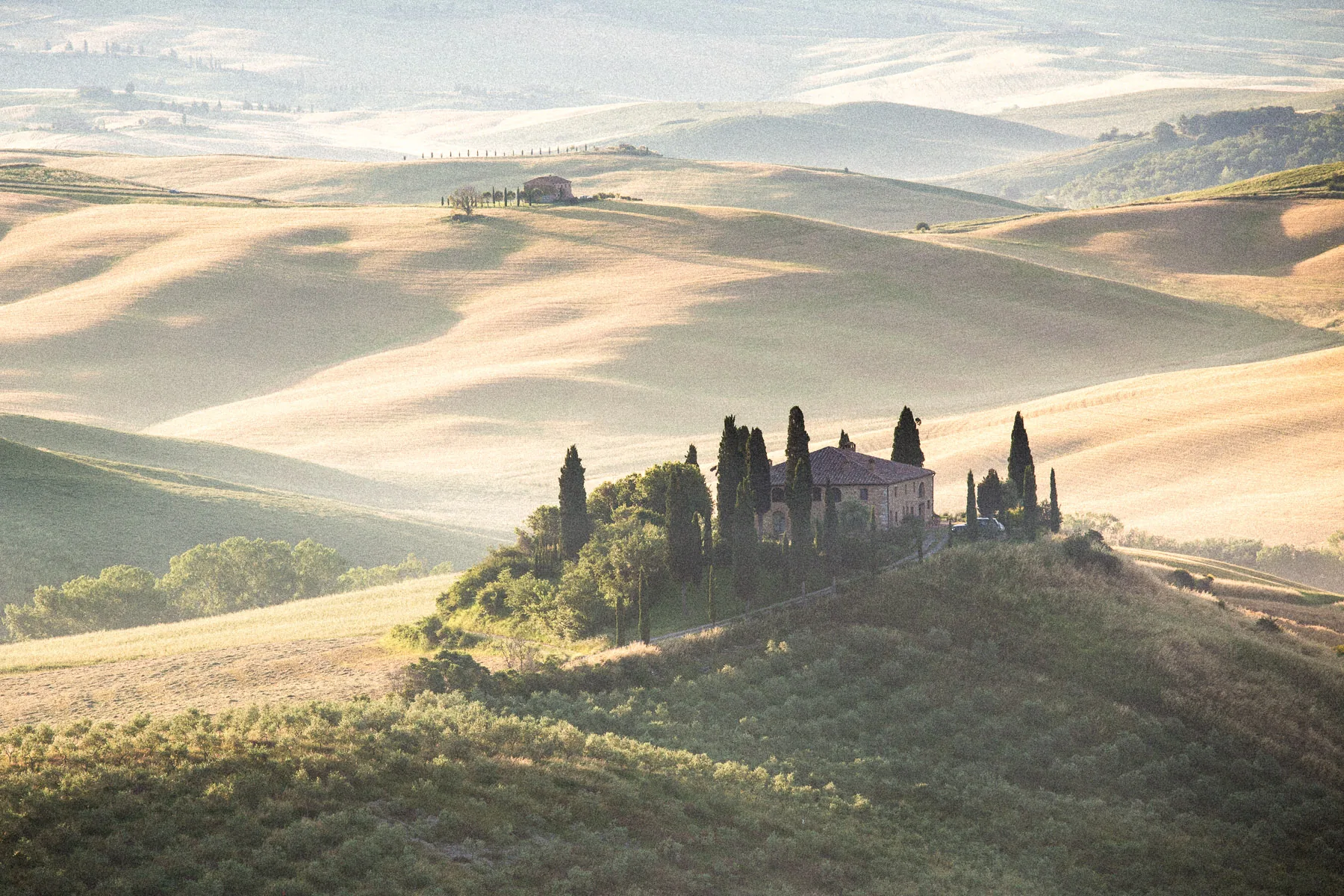 Farmhouse ringed by cypresses on a hill above misty rolling fields at dawn