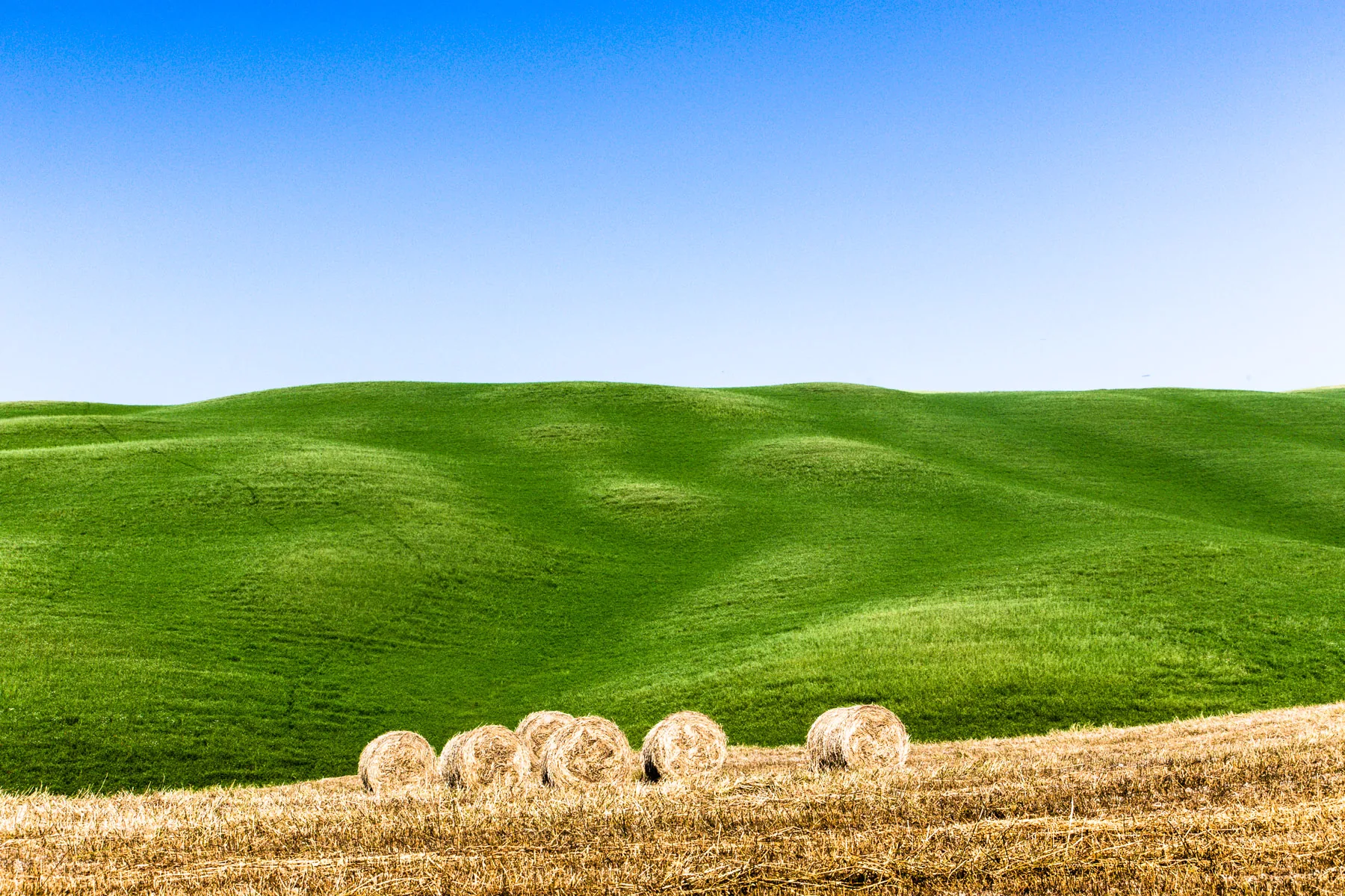 Hay bales on stubble before a smooth green hillside