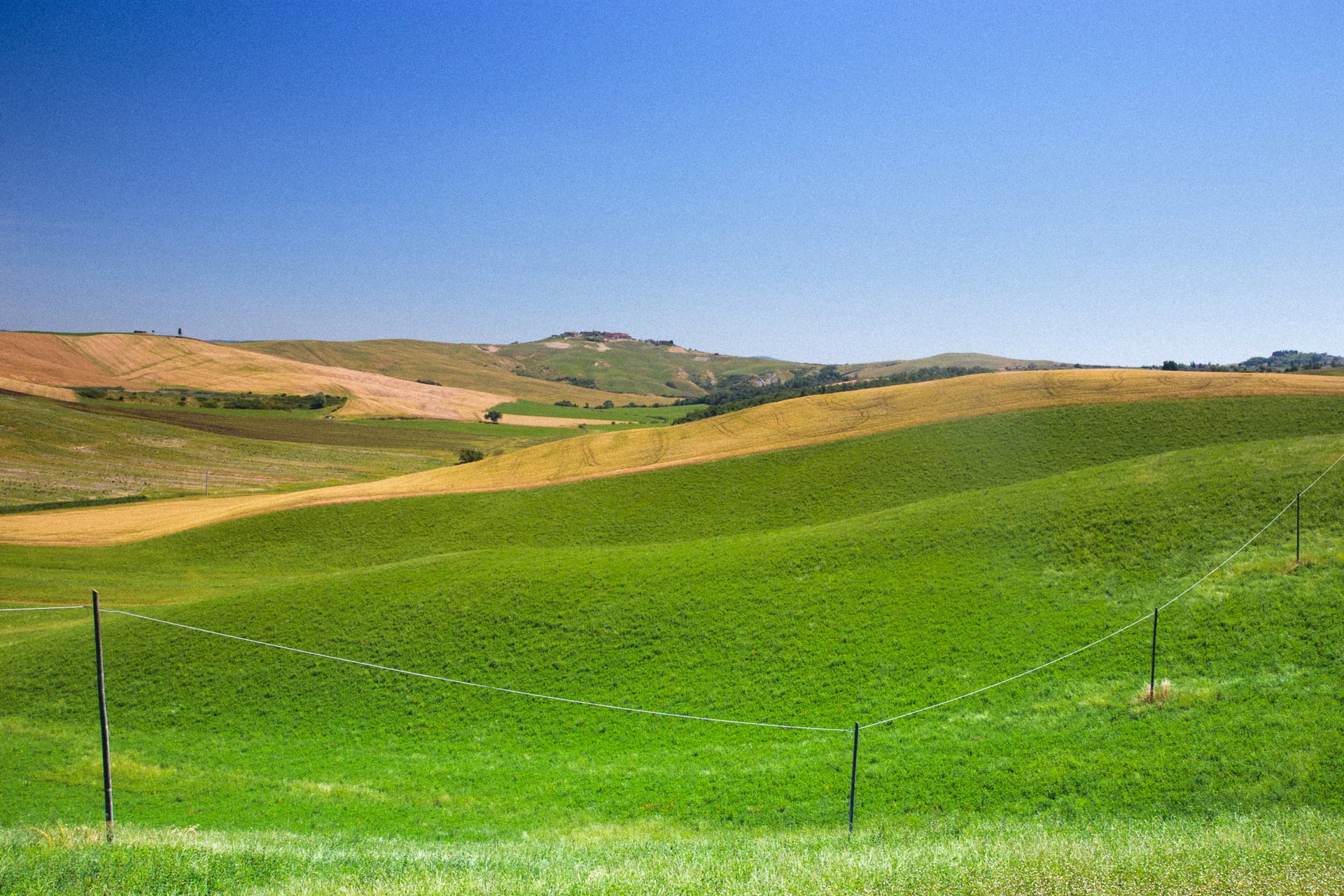 Bright green hills crossed by a wire fence under a blue sky