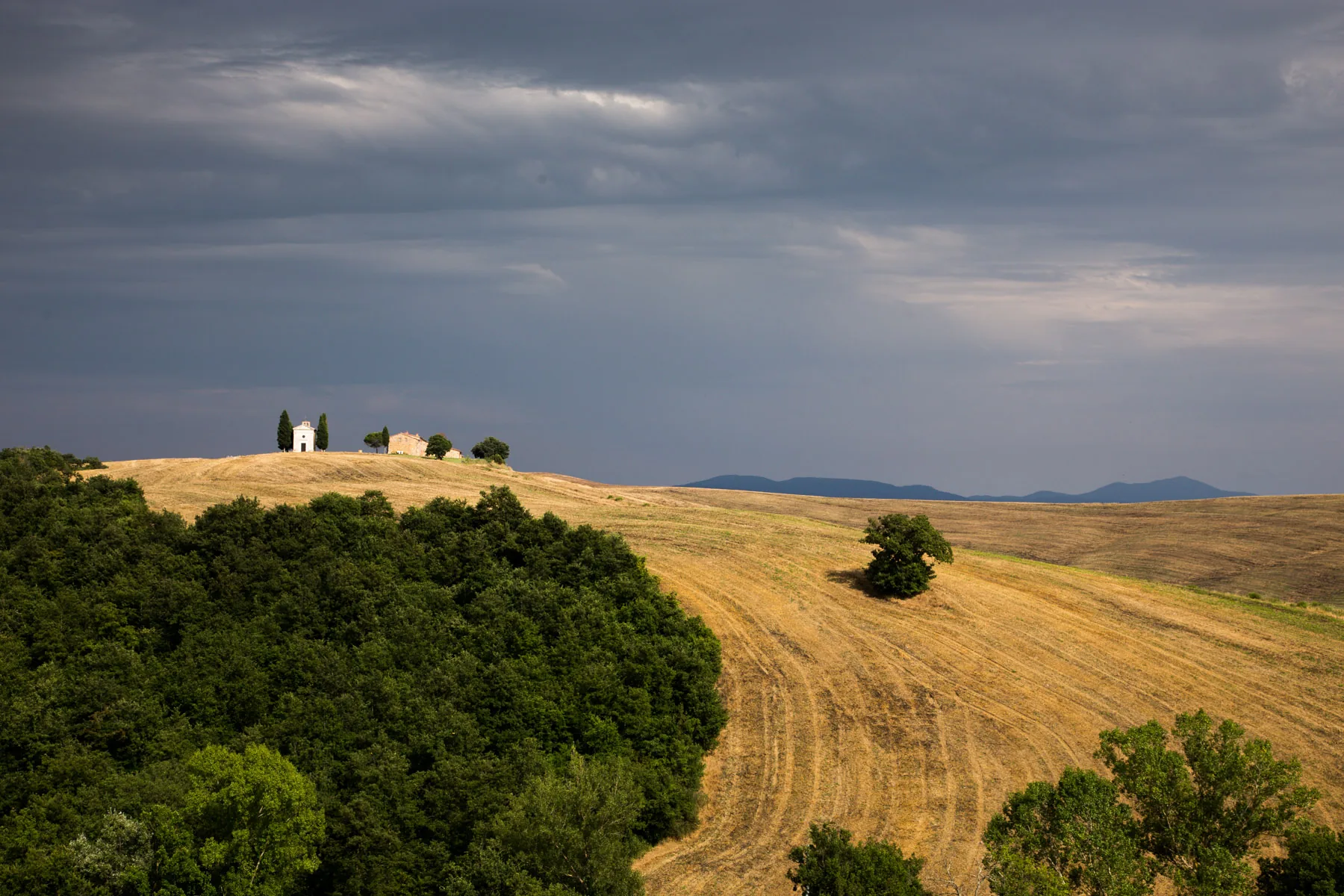 Chapel and farmhouse on a golden hill above dark trees under a stormy sky