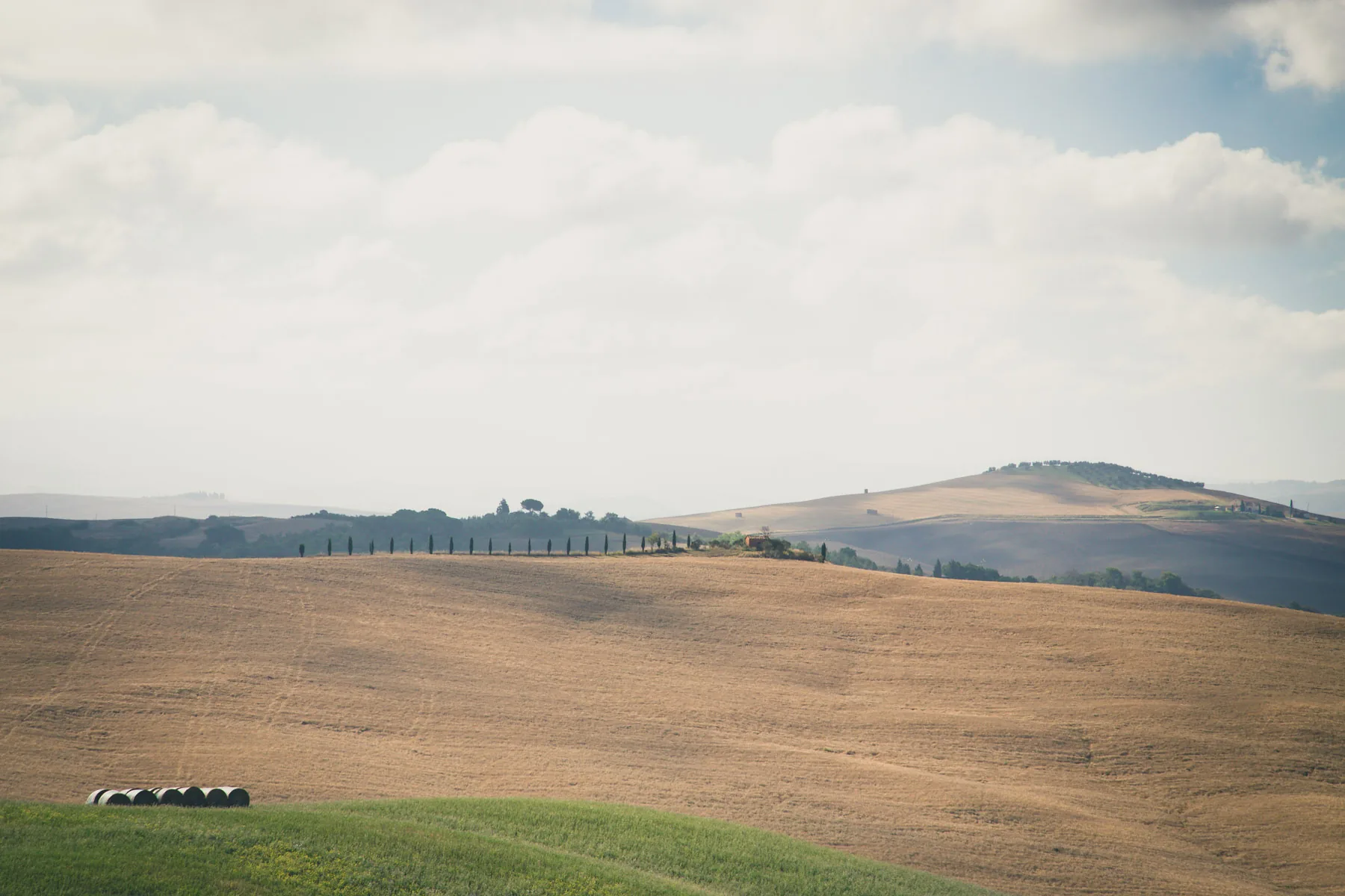 Bare ochre hill with a line of distant cypresses under a hazy sky