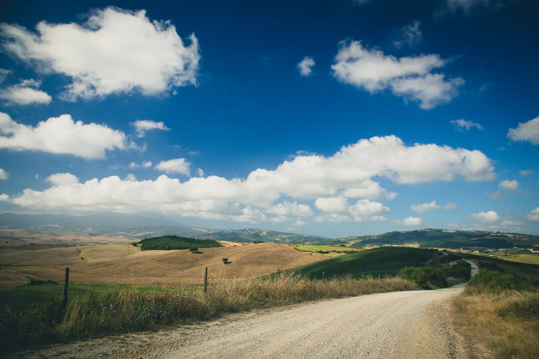 Gravel road curving through golden fields under bright cumulus clouds