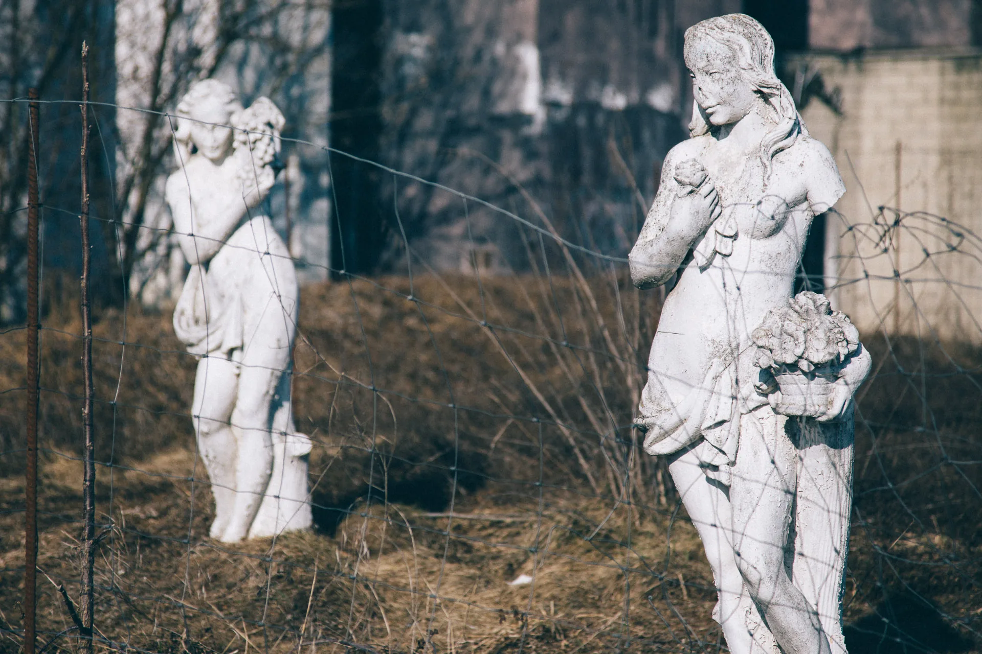 Two white statues in a neglected garden