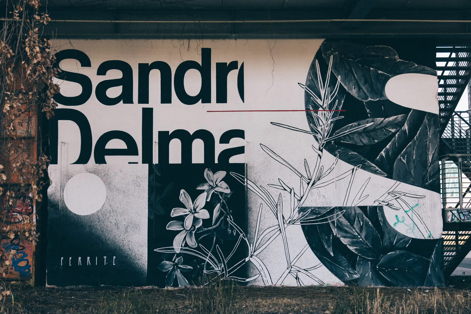 A large poster with bold lettering and leaves on a concrete wall